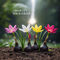 Pack of 10 Scented Multicolor Flower Bulb (TGR10)